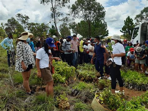 Madagascar Sogea Satom Launches A Reforestation Operation In