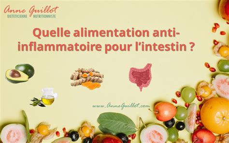 Quelle Alimentation Anti Inflammatoire Pour Lintestin