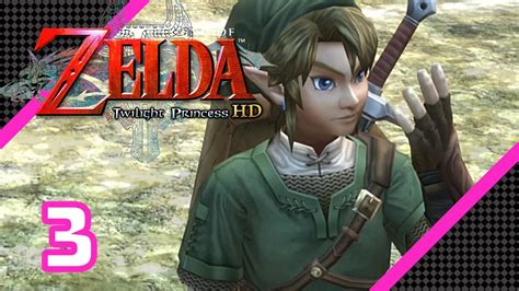 The Green Tunic The Legend Of Zelda Twilight Princess Hd Wii U