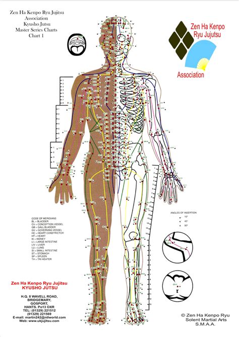 Free Printable Acupressure Points Chart Free Printable Templates