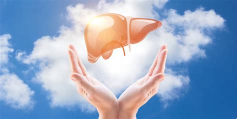 What Foods Should I Eat for a Healthy Liver?