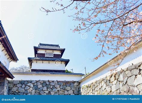 Fukuoka Castle Ruins during Cherry Blossom Season Editorial Image ...