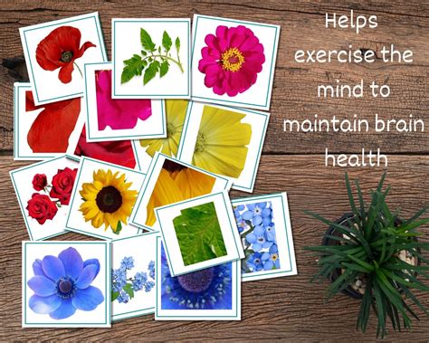 Dementia Activities, Care Home Activity, Dementia, Activities for Seniors, Alzheimer’s Gifts ...