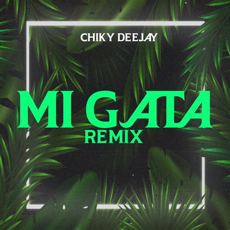 Mi Gata Remix Chiky Dee Jay Song Lyrics Music Videos Concerts