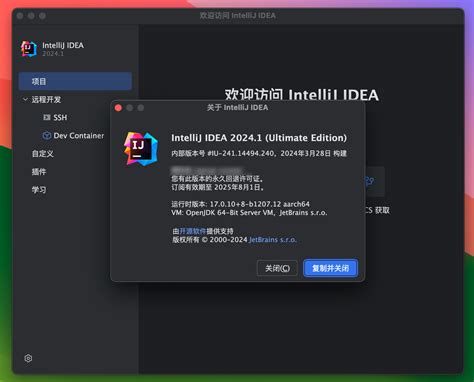 IntelliJ IDEA 2024 for Mac v2024 3 汉化激活版 Java开发工具IJ intel M1均可 Mac青桔网