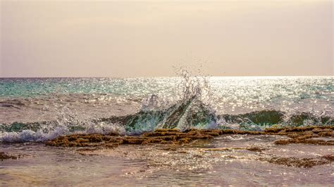 Free Images Beach Landscape Sea Coast Tree Nature Sand Rock