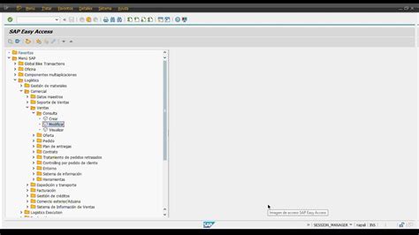 Pasos Iniciales Con Sap 02 Introducción A Sap Easy Access Parte