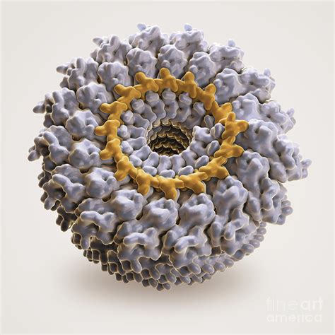 Tobacco Mosaic Virus Photograph By Science Picture Co Pixels