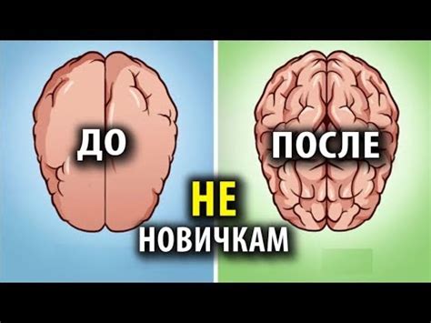 Лучшие Ноотропы для Опытных Юзеров - YouTube