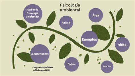 Psicolog A Ambiental C Mo El Ambiente Influye En La Conducta Colegio