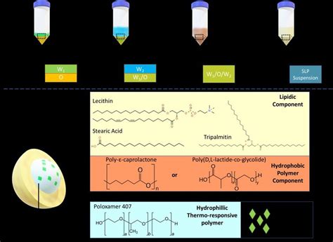 One pot synthesis of solid lipid nanoparticle consisting of a composite... | Download Scientific ...