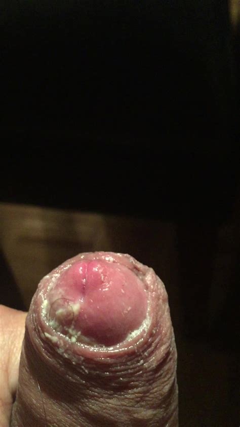 Say Cheese Gay Porn At ThisVid Tube