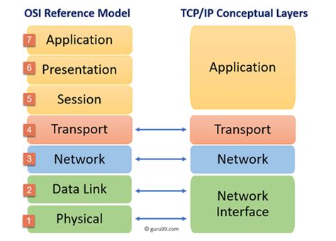 Module 5 TCP IP Model OSI Model Flashcards Quizlet