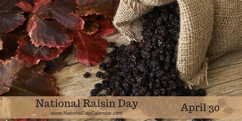 Today Is National Raisin Day South Florida Reporter