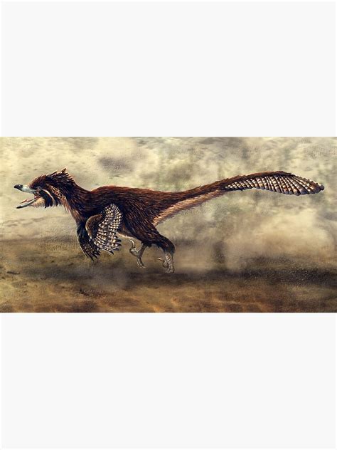 Velociraptor Mongoliensis Restored Poster For Sale By Thedragonofdoom