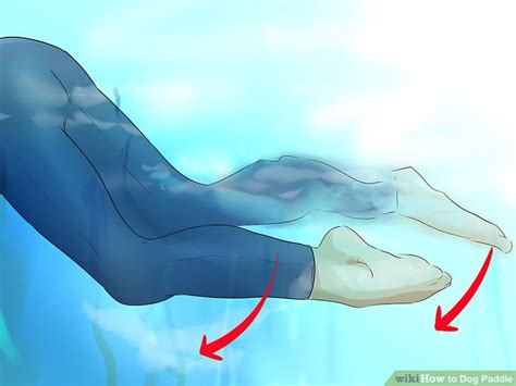 How to Dog Paddle: 13 Steps (with Pictures) - wikiHow