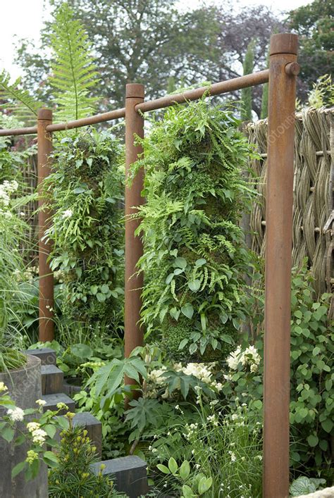 Climbing Structure And Plants In Garden Stock Image C