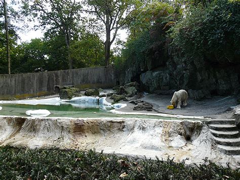 Polar bear exhibit in Bronx zoo