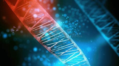 Human Structure Of Dna Researches Of Chromosomes Ai Generated Stock