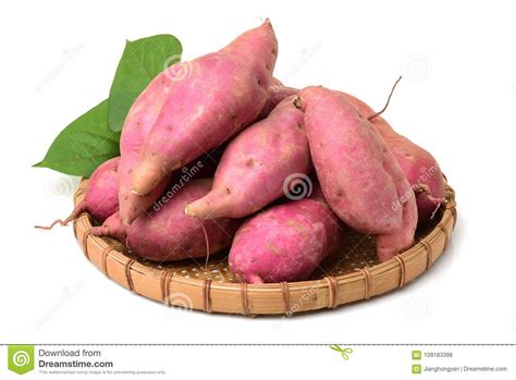 The Sweet Potato Ipomoea Batatas Or Batat Stock Photo Image Of Plant