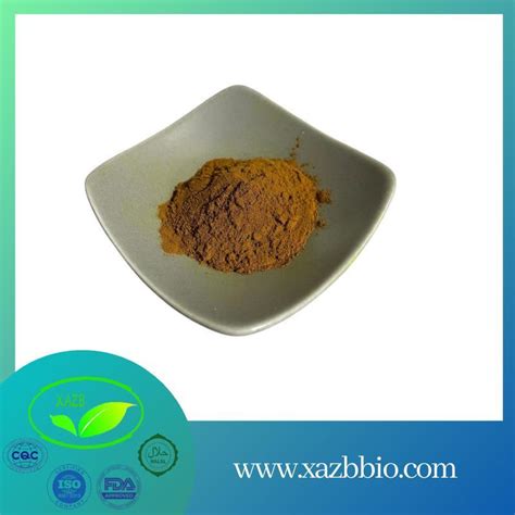 Xazb Supply Ginkgo Biloba Leaf Extract Egb 761 Ginkgo Biloba Extract