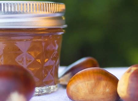 Come Fare La Marmellata Di Castagne Come Fare Tutto