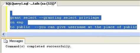 Grant And Revoke Commands In Sql Server 2008