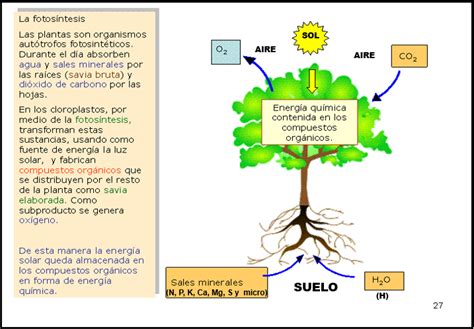 Fundamentos De La Ciencia Historia Del Suelo Y Su Importancia En El