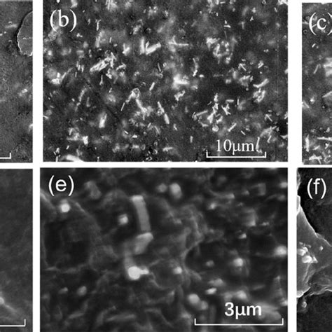 Xrd Patterns Of Pvdf Btpvdf And Bttio2pvdf Composite Films Download High Quality