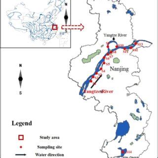 The Location Of Study Area And Sampling Sites Along The Yangtze River