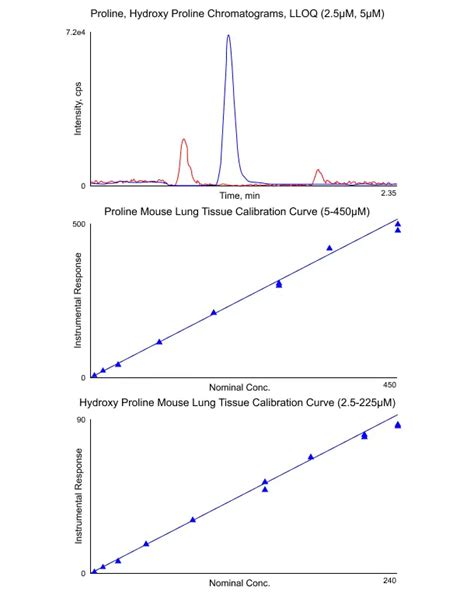 Proline Amino Acid, Collagen Synthesis, Hydroxyproline Assay