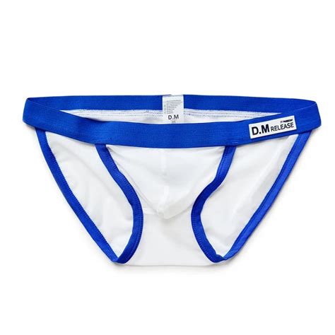 Transparent Mesh Briefs Sexy Underwear Gay Swimwear Sissy Lingerie For Men Beach Bathing