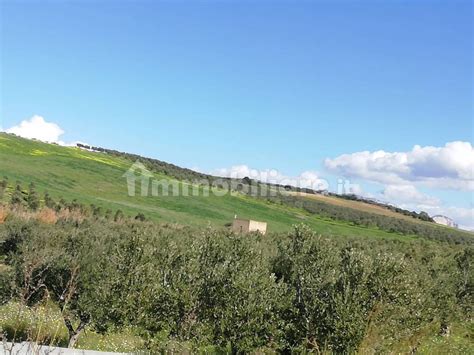 Terreno Agricolo Sciacca Rif Immobiliare It