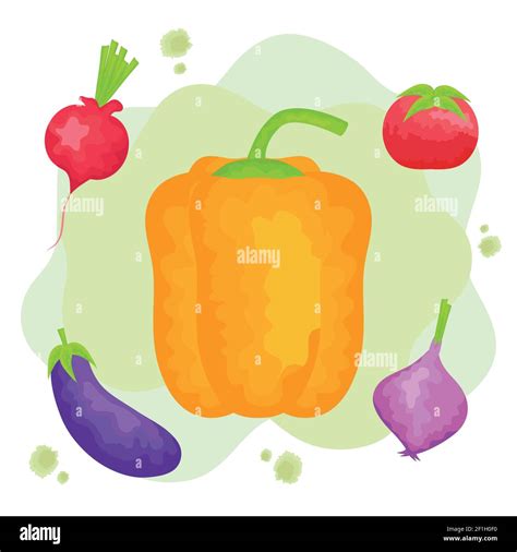 Watercolor Set Vegetables Stock Vector Image And Art Alamy