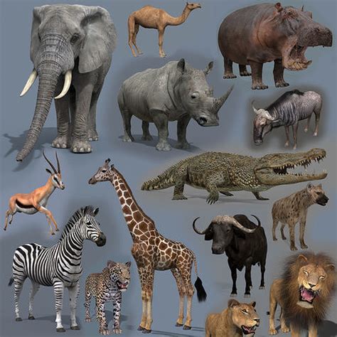 Colossal Animal Pack HD - Animated 3D model animated rigged | CGTrader