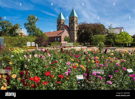 Deutschland Legden Westmuensterland Muensterland Westfalen Renania