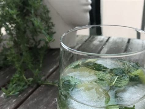 Mojito von Bohemien | Chefkoch