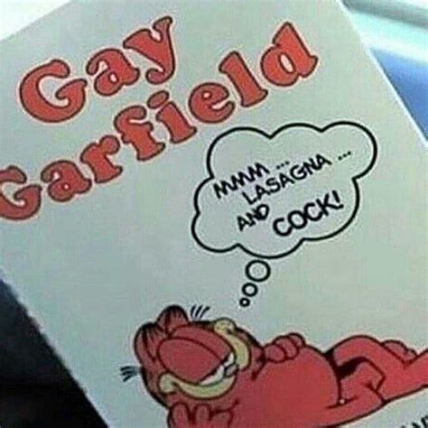 Gay Garfield R OfficeGuyPubMemeStash