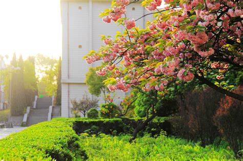 校园之春 汉江师范学院 丹江口校区管理委员会