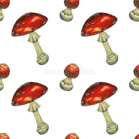 Agarics Amanita Stock Illustrations Agarics Amanita Stock