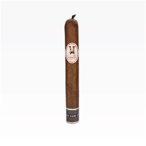 Cuban Cigars Best Cigars From Cuba Cohiba Cigars Egm Cigars