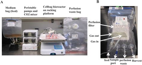 Automated Closed System Expansion Of Pluripotent Stem Cell Aggregates