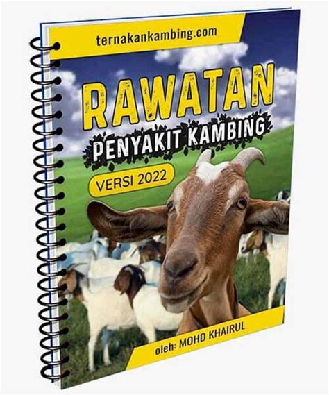 Cara Ternak Kambing Kampung Yang Menguntungkan