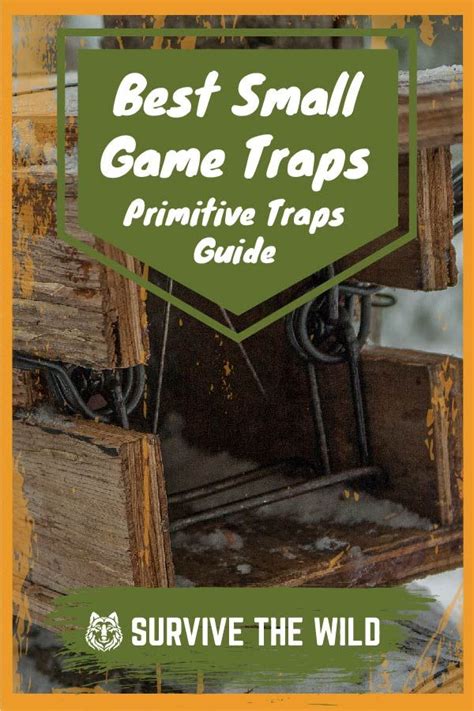 Best Small Game Traps 2 In 2021 Survival Prepping Survival Skills