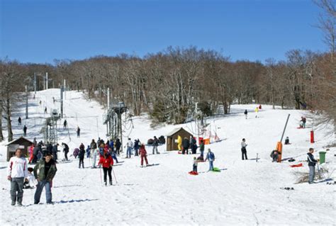 Webcam Mont Aigoual Le Gard