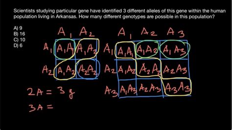 Shortcut Formula How To Find Number Of Genotypes Possible In A