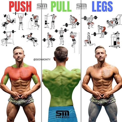 Push Pull Legs Workout Routine For Beginners for Build Muscle | Fitness ...