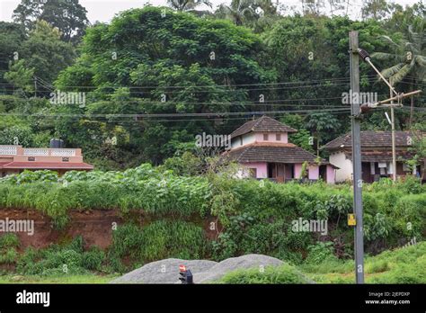 An Old House In A Rural Village Almost Covered By Trees Near The