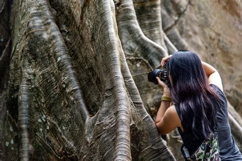 Premium Photo Rear View Of Woman Photographing Tree Trunk With Camera