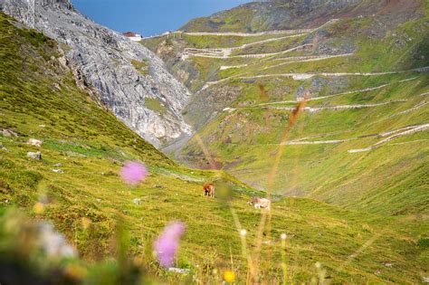 Passstraße Stilfser Joch Wandern in Südtirol Gardasee Wandertipps